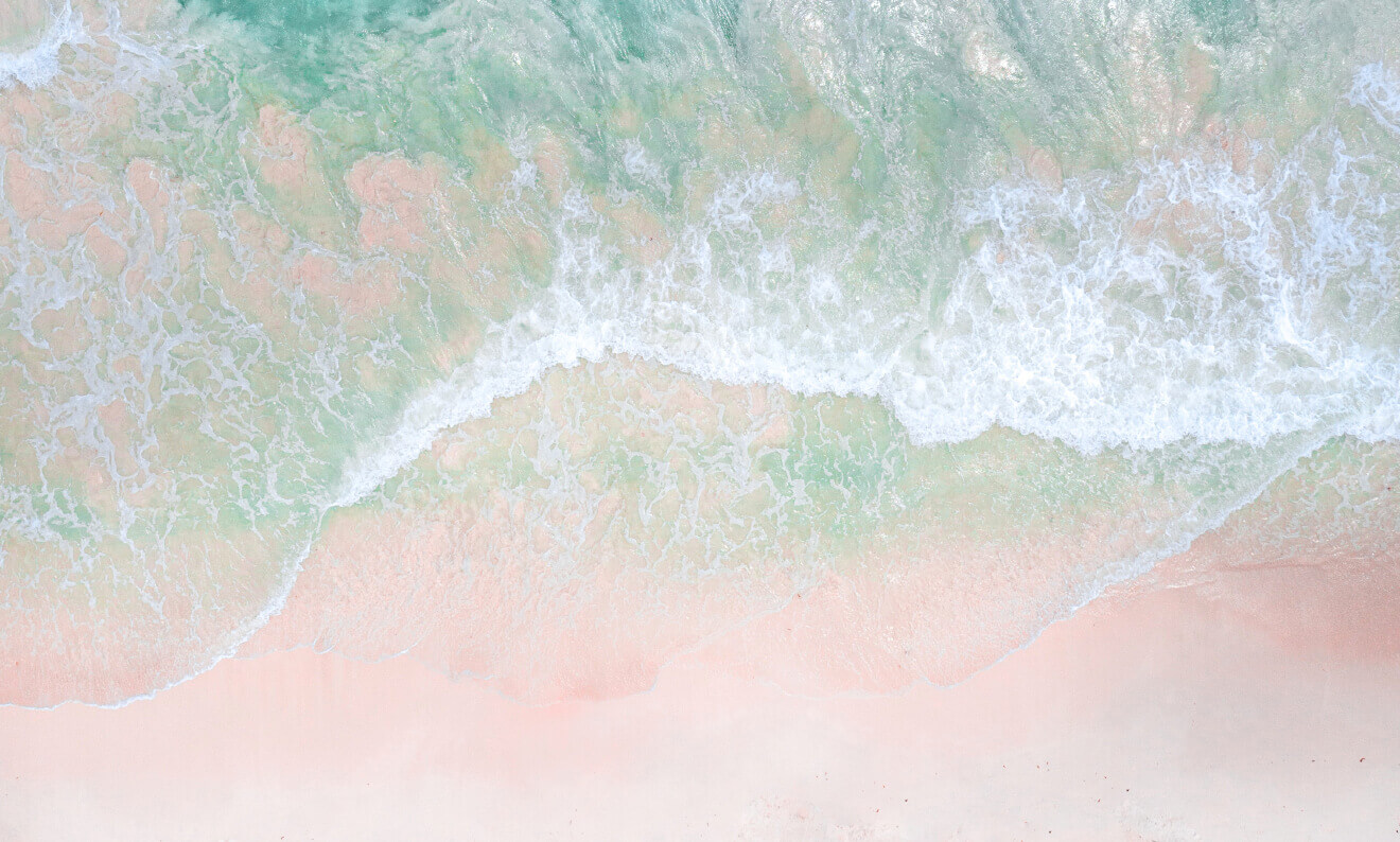 concept img06